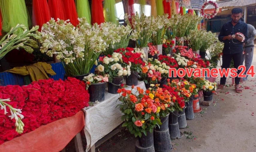 https://www.novanews24.com/wp-content/uploads/2023/11/Flower-garden2.jpg