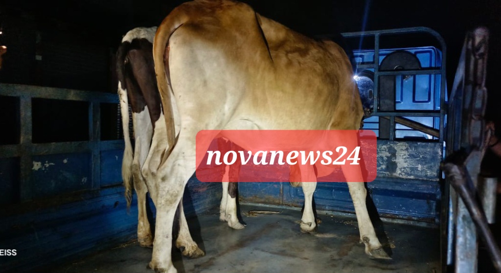 https://www.novanews24.com/wp-content/uploads/2024/05/45202493315.jpg